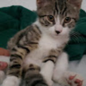 Meet your Posher, Esperanza